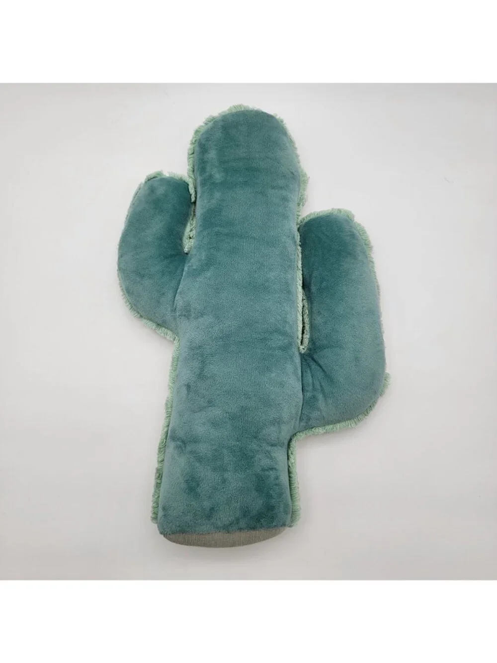 Mon Ami this cactus